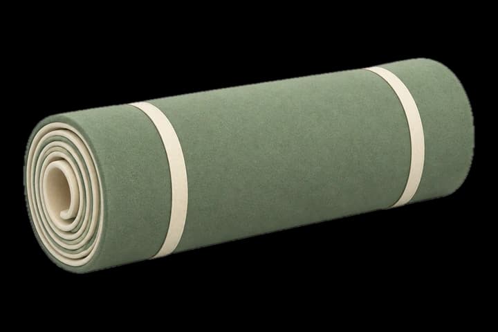 A roll of carpet already removed from the floor.